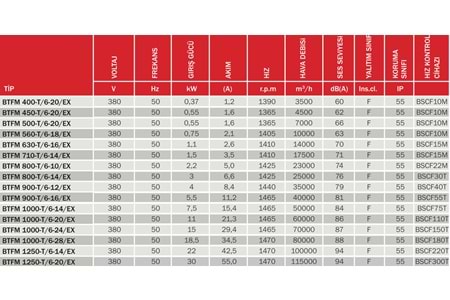 BTFM AKSİYEL BASINÇLANDIRMA FANI