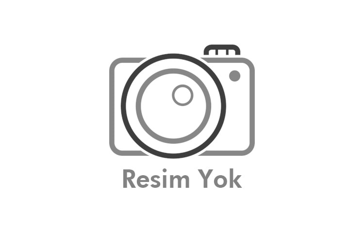 Ø356 mm Yaylı Klape